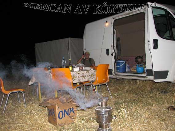 Mercan Av Köpekleri