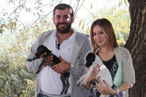 Drahthaar ve Pointer(Trabzon)