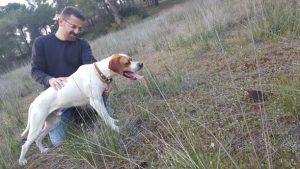 Pointer (Manavgat)
