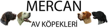 Mercan Av Köpekleri Logo